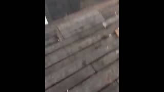 Daddy Goat 24/7 - Out Of Context Memes & Videos