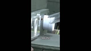 Daddy Goat 24/7 - Out Of Context Memes & Videos