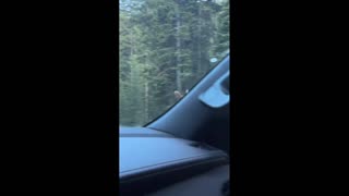 Daddy Goat 24/7 - Out Of Context Memes & Videos