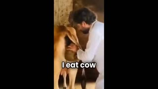 Daddy Goat 24/7 - Out Of Context Memes & Videos