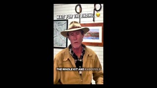 Daddy Goat 24/7 - Out Of Context Memes & Videos