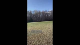 Daddy Goat 24/7 - Out Of Context Memes & Videos