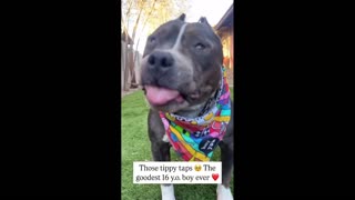 Daddy Goat 24/7 - Out Of Context Memes & Videos