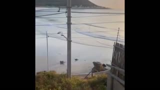 Daddy Goat 24/7 - Out Of Context Memes & Videos