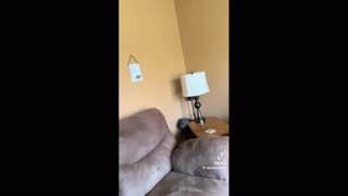 Daddy Goat 24/7 - Out Of Context Memes & Videos