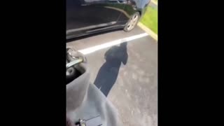 Daddy Goat 24/7 - Out Of Context Memes & Videos