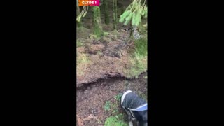 Daddy Goat 24/7 - Out Of Context Memes & Videos