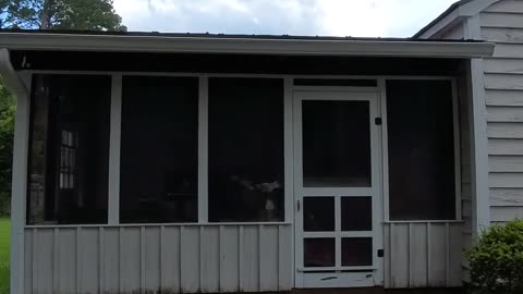 My Son Found the Backyard Treehouse… Now He Wants to MOVE IN 🤣🌳