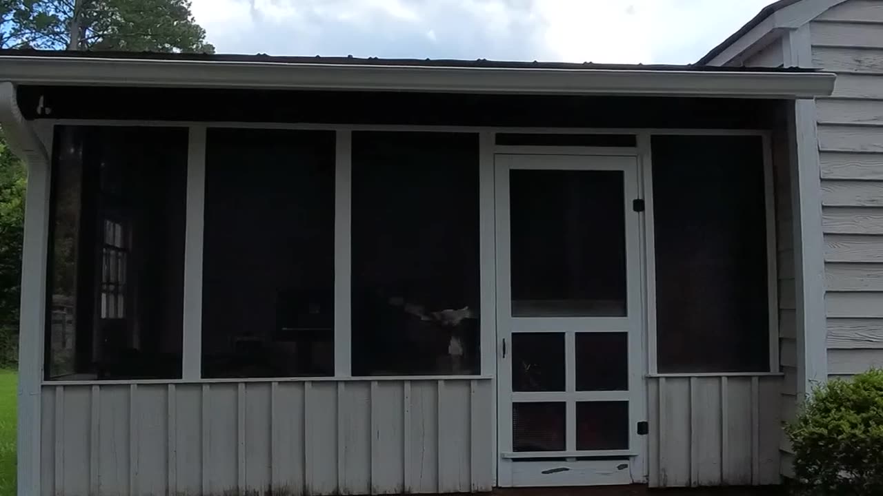 My Son Found the Backyard Treehouse… Now He Wants to MOVE IN 🤣🌳