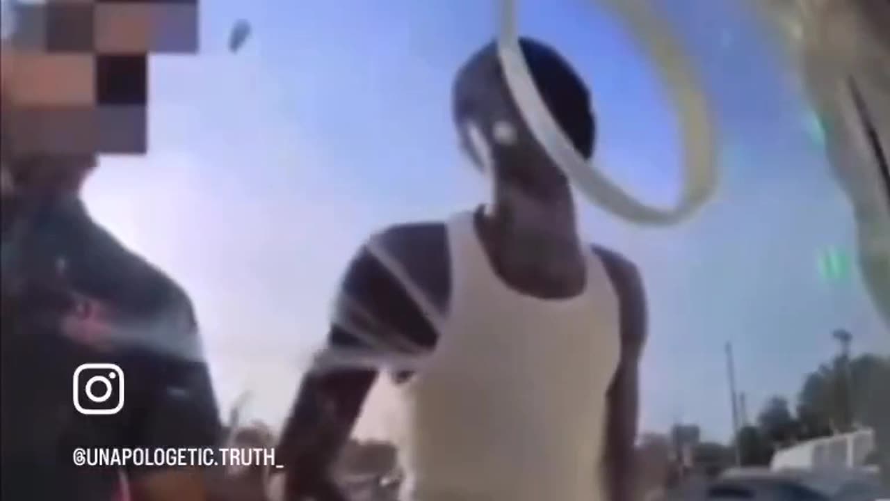 When you have no frontal lobe..😁