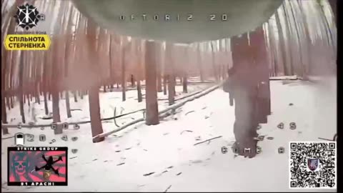 Latest Footage from the Ongoing +3 Year-Long Battle for the Serebryansk Forest