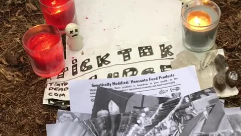 Tim Rifat TikTok Videos