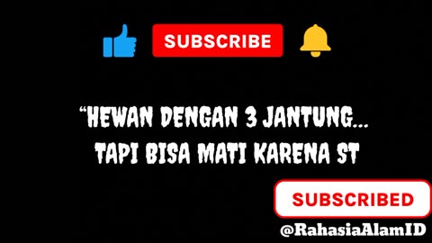 Hewan Ini Punya 3 Jantung dan Bisa Hidup Lagi Setelah Membeku!