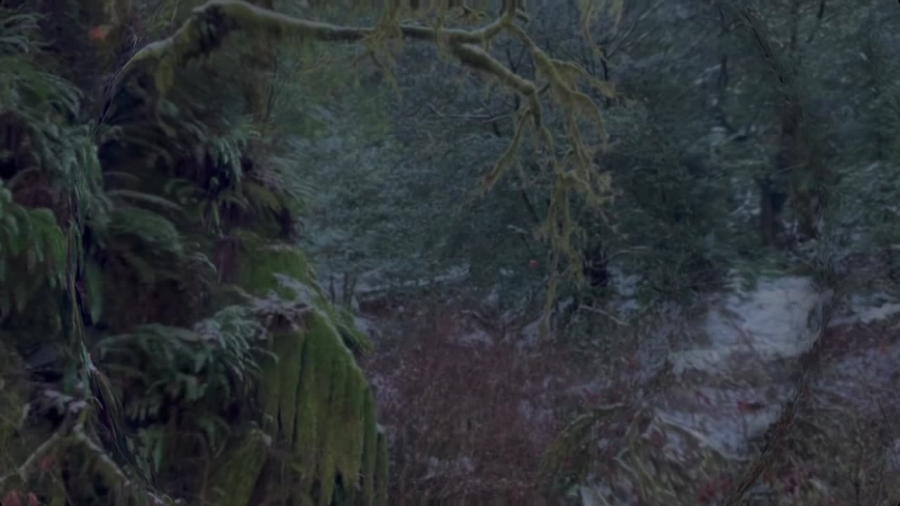 Rivers and Blues (from T-Mac)