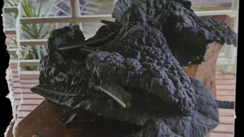 Kale straight from the garden🪴