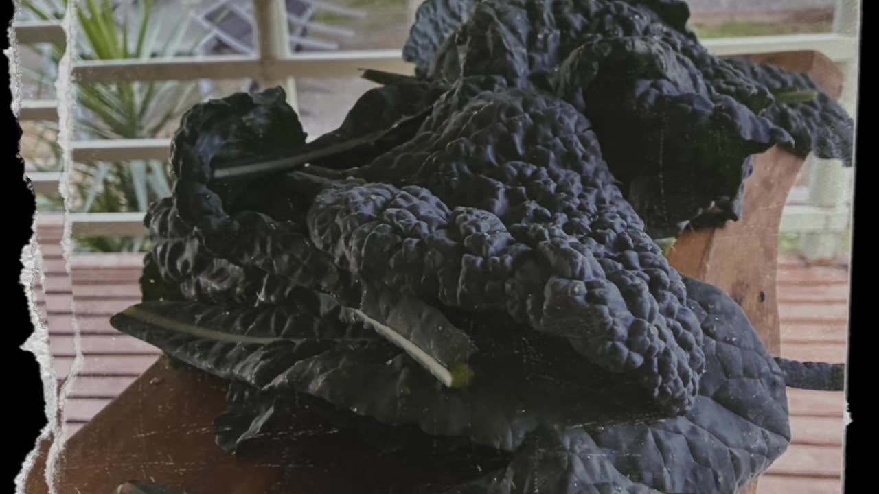 Kale straight from the garden🪴