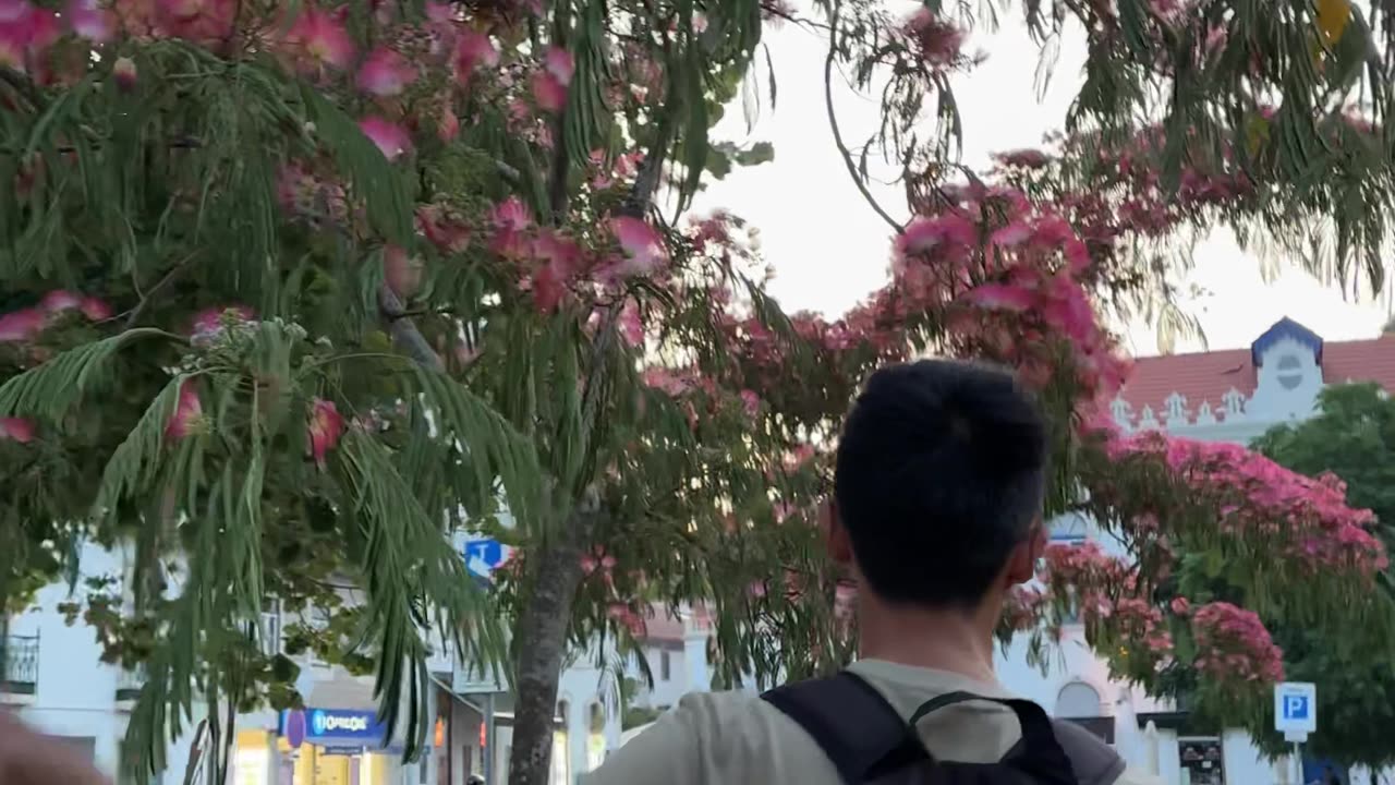 🧡