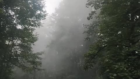The beautiful nature of northern Iran.