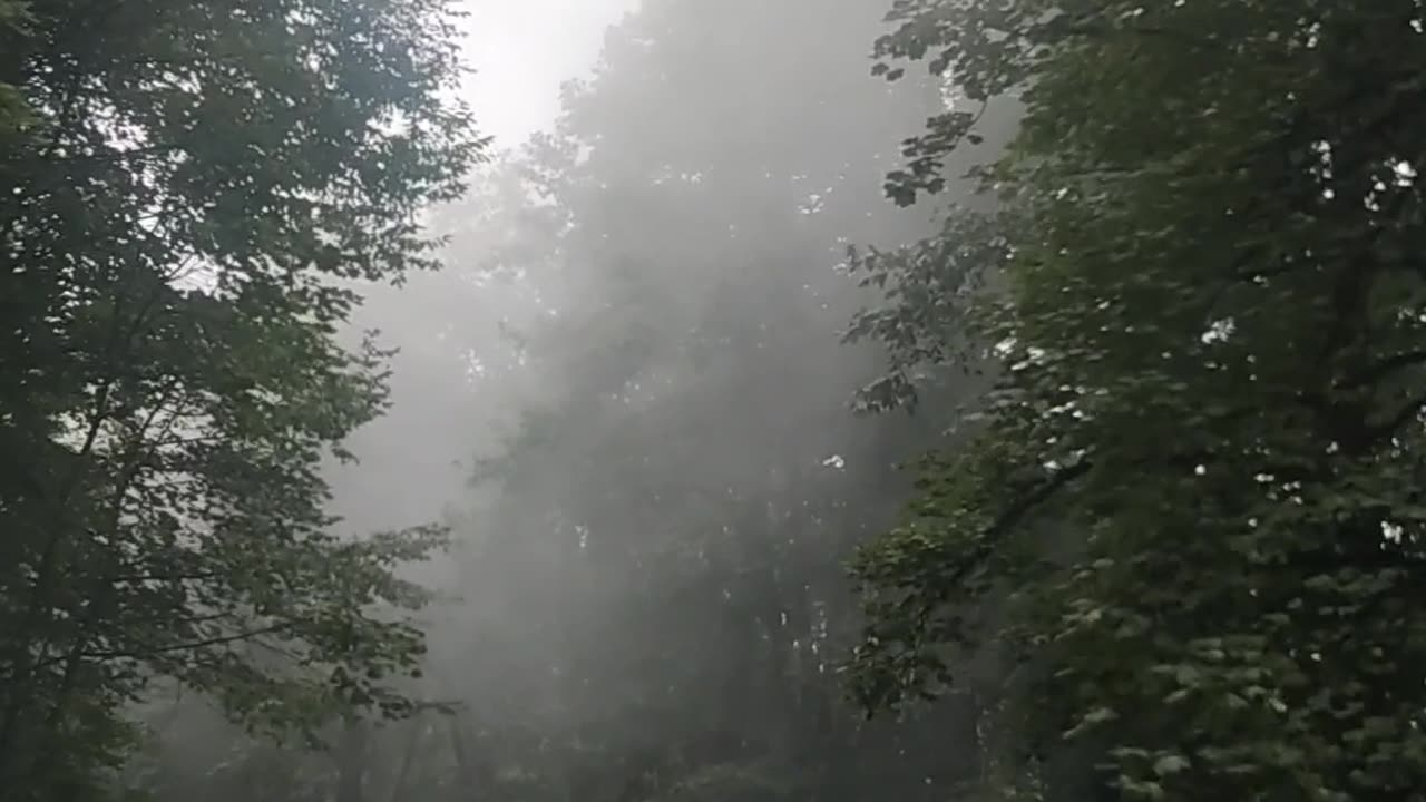 The beautiful nature of northern Iran.