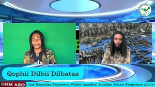 Qophii Dilbii Dilbataa ONM-ABO Sadaasa 9-2025 itti dhiyaadhaa!