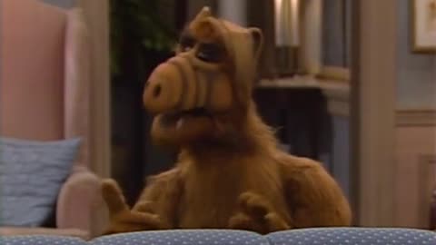 CLASSIC TELEVISION. " ALF " ALIEN LIFE FORM
