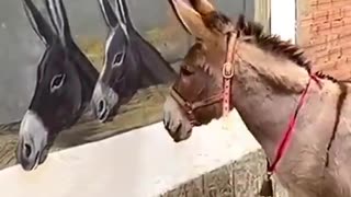 😂🤣 Donkey Mistakes Street Art for Its Own Kind! | FunFM