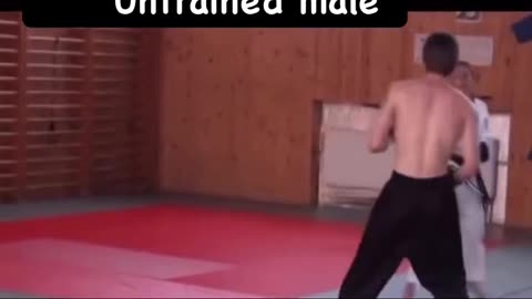 BLACK BELT VS AVERAGE JOE