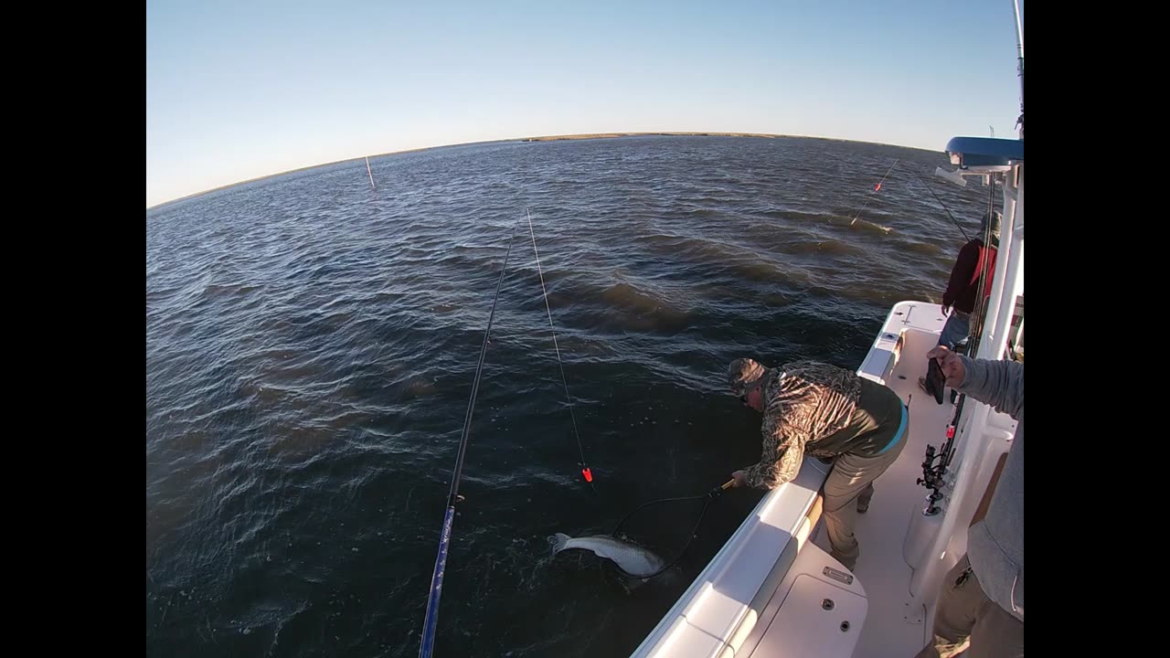 Epic Redfish Catch in Lake Borgne, LA! 🎣🔥"
