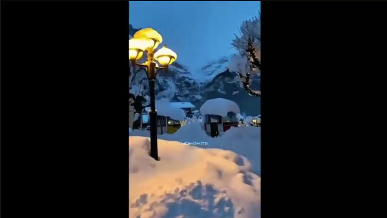 VERITAS VAULT🎄X-MAS 2025 MOTTO🎄WE ARE ALL ONE🎄CRYPTO STAKING PROFITS 3X@DAY🎄TOP TEAM ROB BUSER