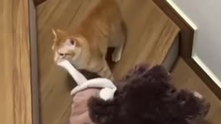 😂🦨 You Won't Believe This Mammoth Hunt! | FunFM