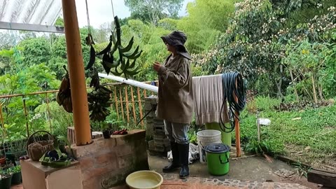 Searching For Fallen Plantain Trees on My Colombian Finca |Slow Living Colombia