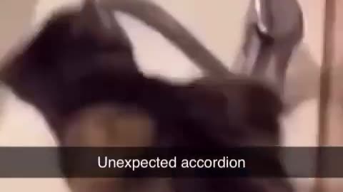 🤣🎸 You Won't Believe This Epic Accordion Fail! | FunFM