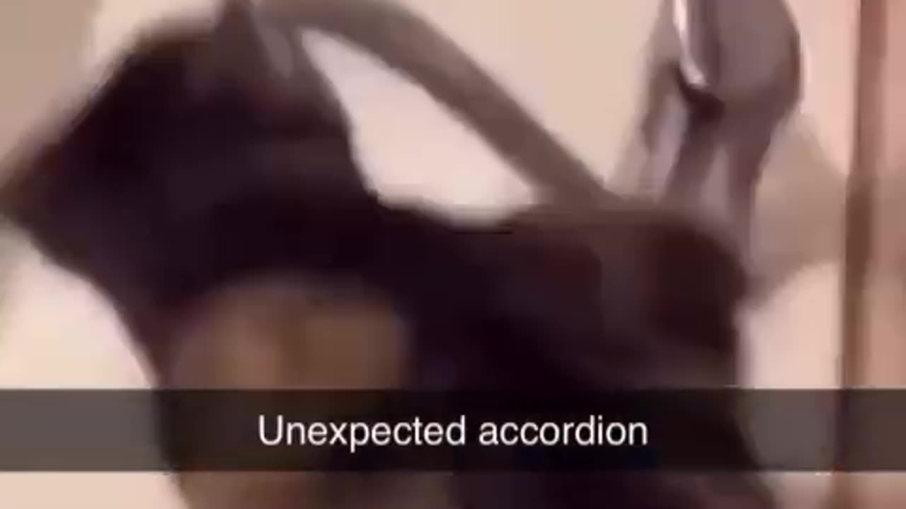 🤣🎸 You Won't Believe This Epic Accordion Fail! | FunFM