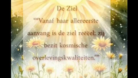 De Ziel