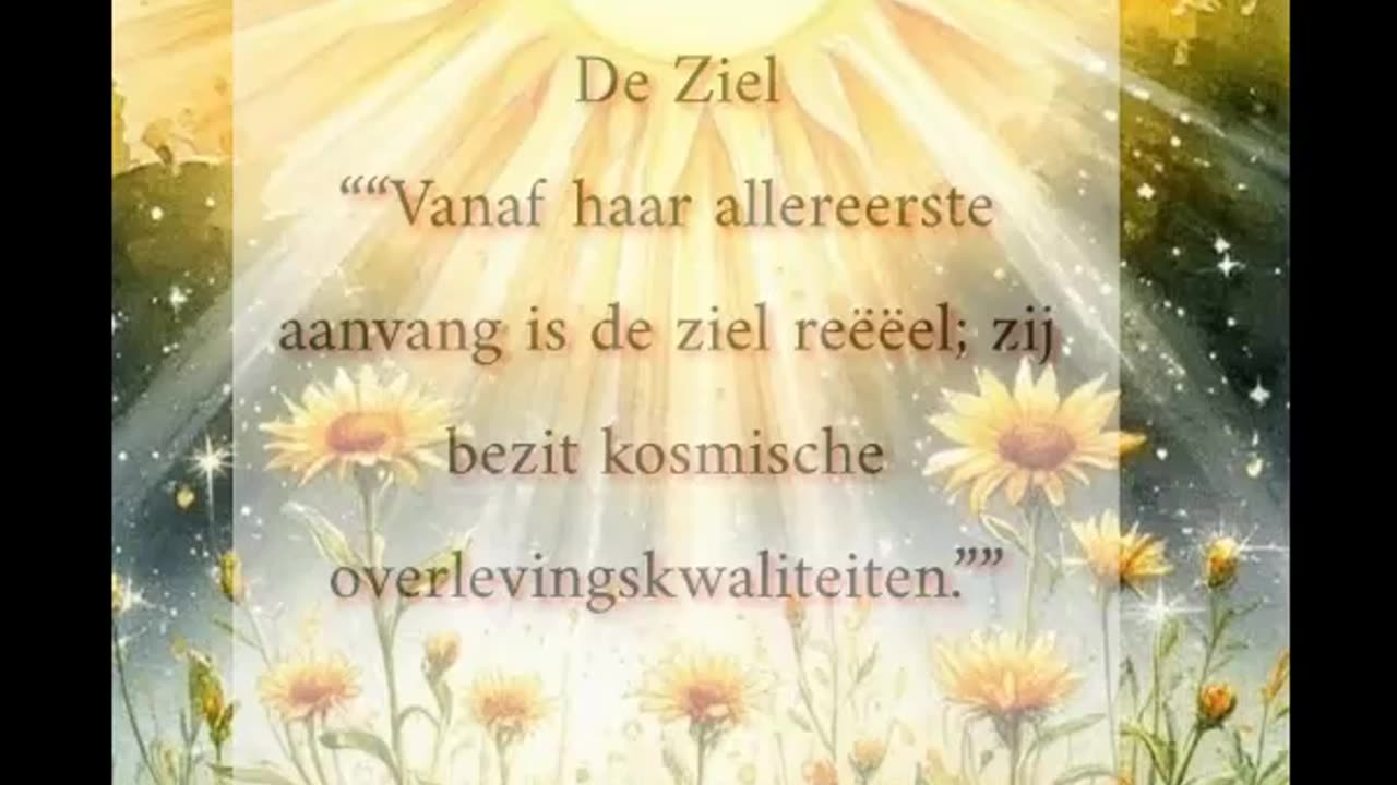 De Ziel