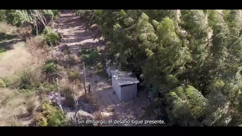 DESAFÍOS DE MUJER 10/09/2025