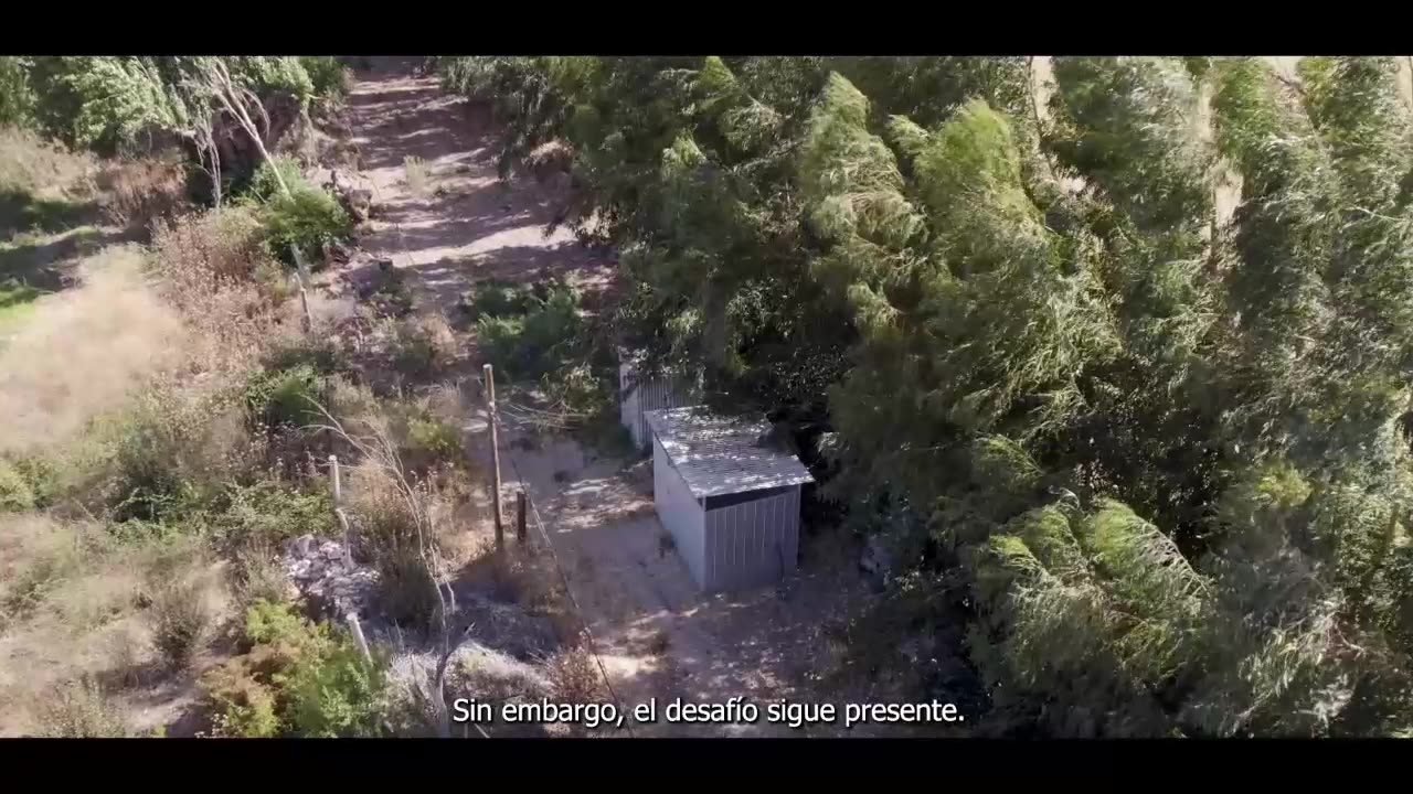 DESAFÍOS DE MUJER 10/09/2025