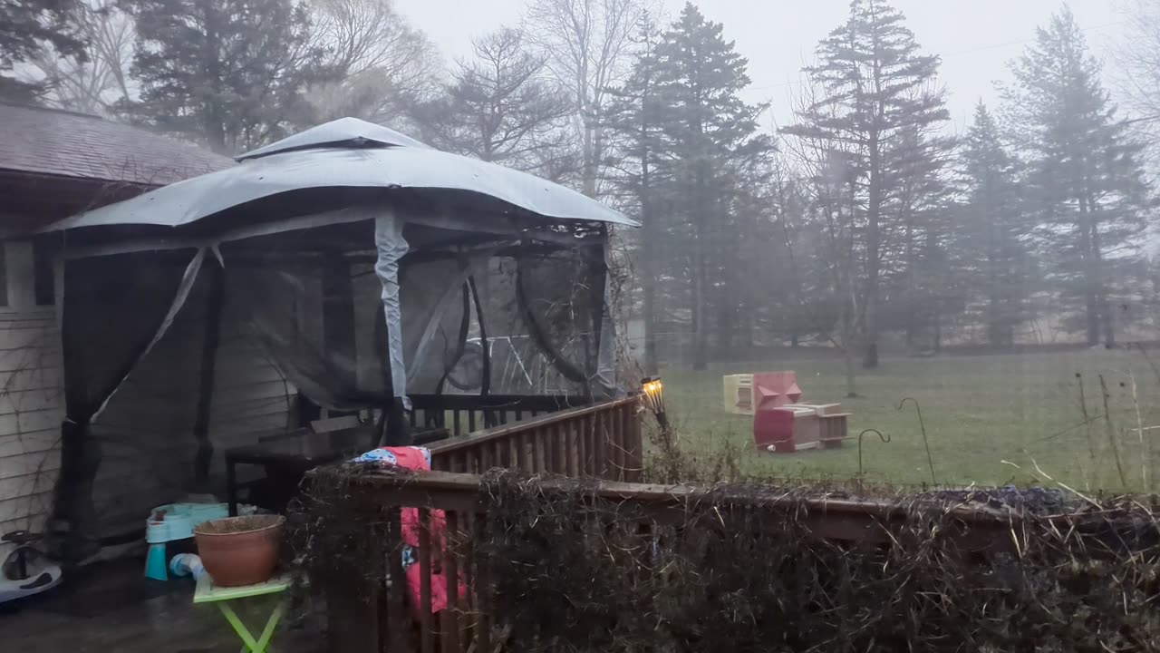 Tree Falls During Spring Storm in Southeast Michigan