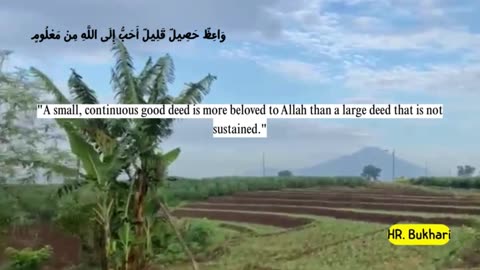 Partly about the Islamic religion 33