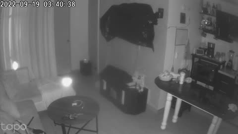👽✨ Unexplained Lights Caught on Security Cam! Strange Phenomenon | TheHauntingHour