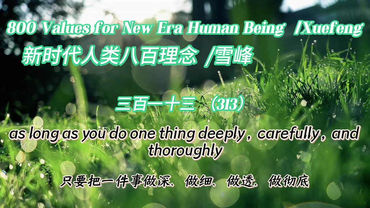 800 Values for New Era Human Being（313）