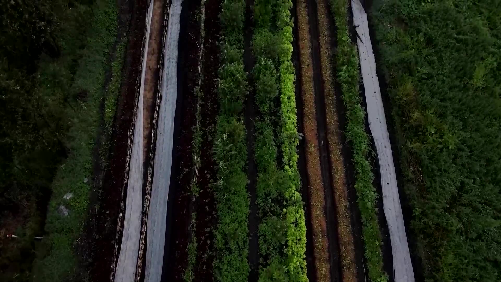 From worms to scraps, nothing is wasted in this Mexico City restaurant