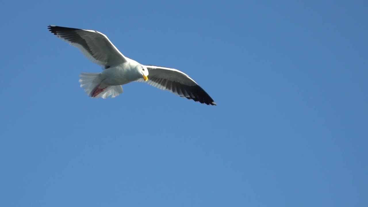 Nature with calm music/calm/relaxing/soothing Nature video