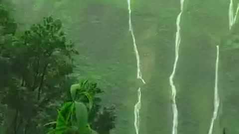 Nature.