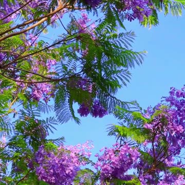 बुरे वक्त में हिम्मत देगी यह बातें best motivational speech for success in life