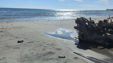 Trippy Beach Scene