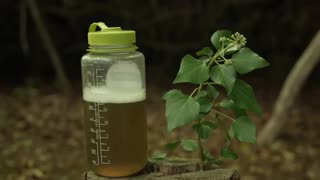 Health and Survival - How to make Soap from Nature