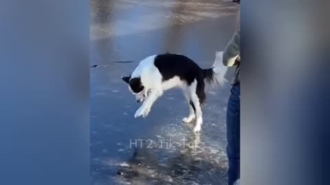 Try not to laugh 😂