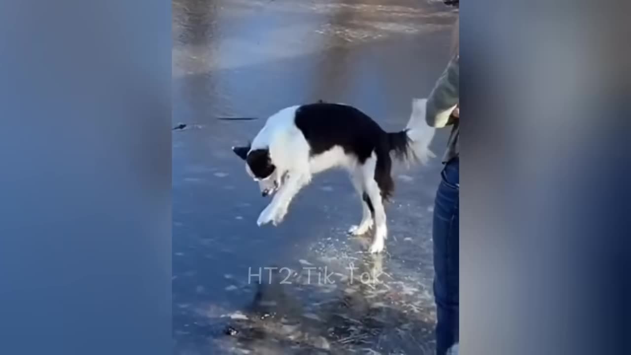 Try not to laugh 😂