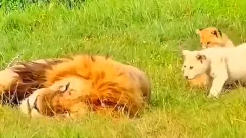 Father and son